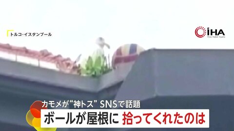 “奇跡のトス”がSNSで話題に「ありがとう！」屋根の上へ飛んだボールを“カモメ”が手助けし生徒たち大歓声　トルコ