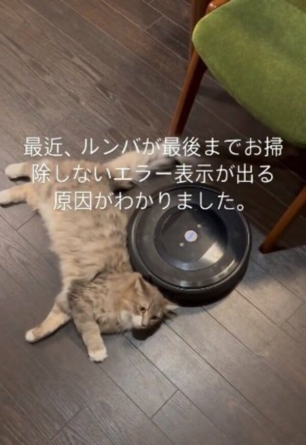 お掃除ロボットお譲りします！ ⚠︎ルンバではないです 25142-95-