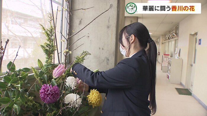 飯山高校3年の秦風花さんが手際よく花を生ける