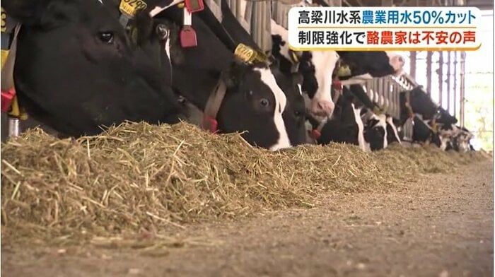 餌を作るにも水が必要
