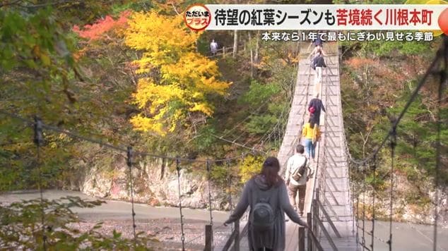 寸又峡・夢のつり橋(2018年)