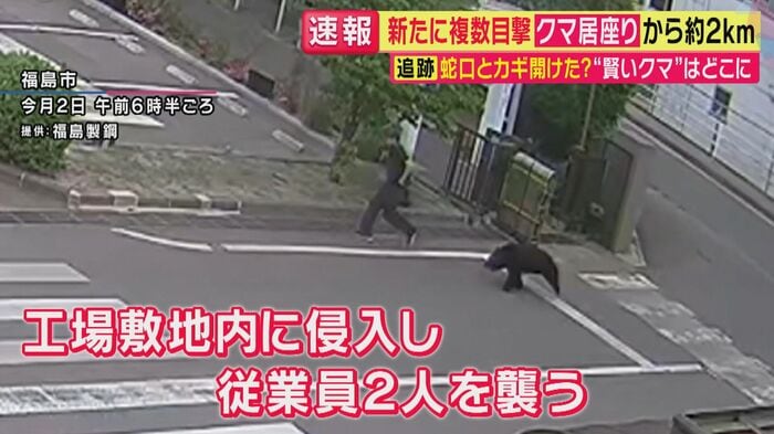 福島市内の住宅地に突如クマが出没