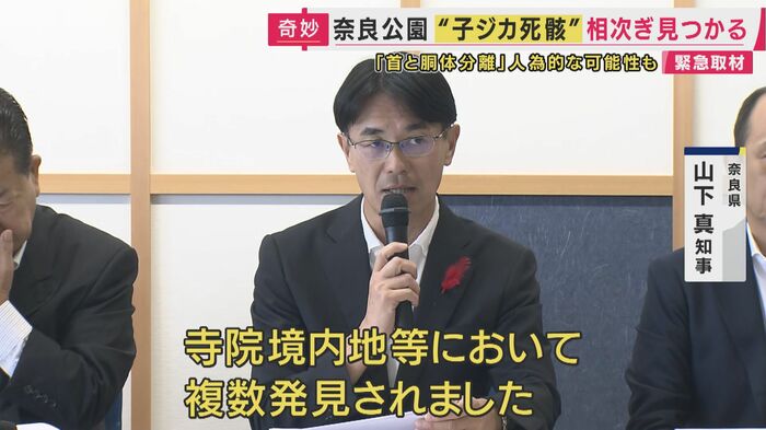 奈良県 山下真知事