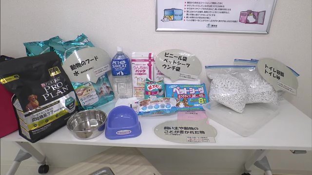 約1週間分 ペット用の防災袋の準備を