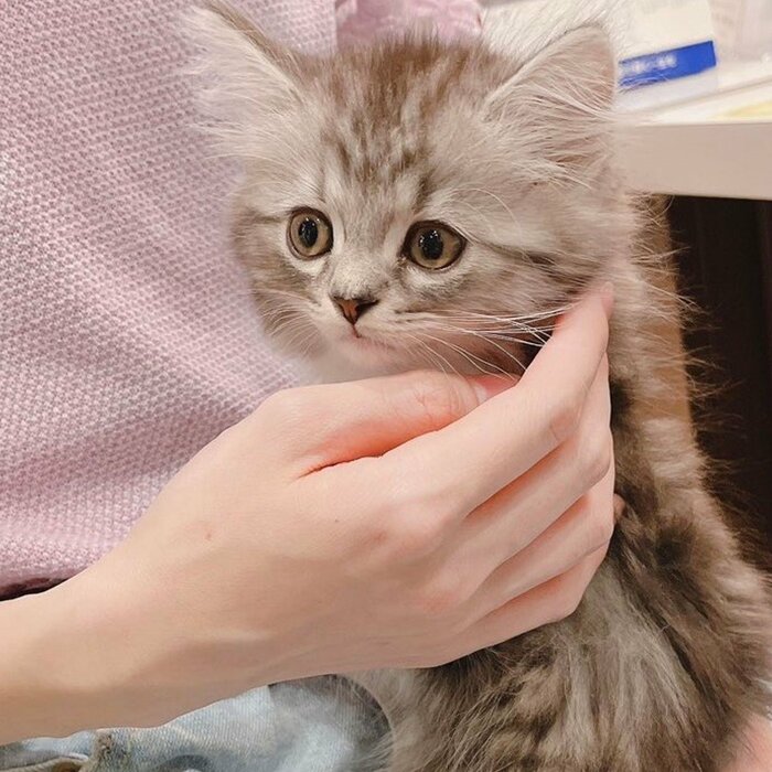飼い主さんと初めて会った頃のリオくん