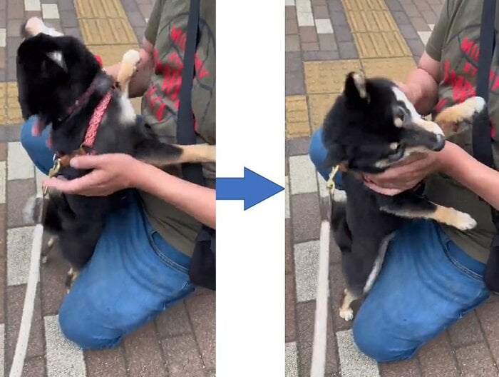 「会いたかった!」というかのようにちびパパさんに甘えている