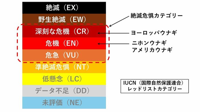 IUCNのレッドリストカテゴリー(編集部作成)