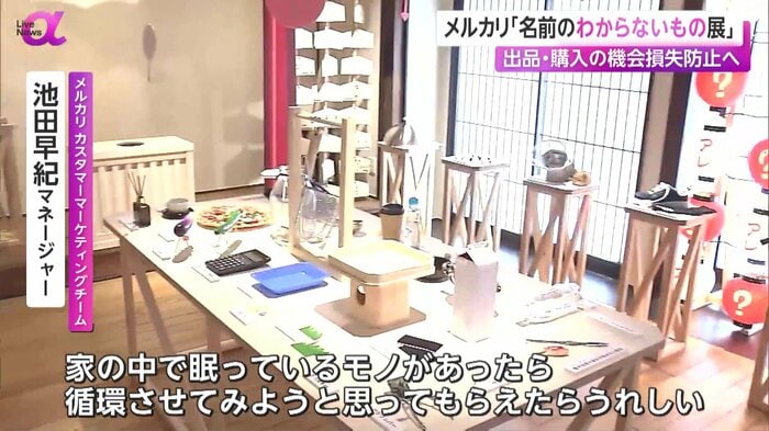 特別展に並ぶ「名前のわからないもの」