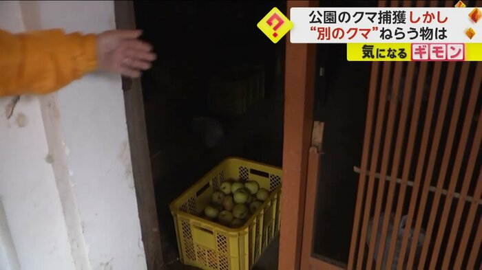 倉の木の扉の中にあるカゴに入ったリンゴ