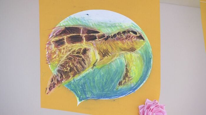 運上実來さんの描いたウミガメ