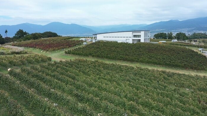 長野県上田市 シャトー・メルシャン椀子ワイナリー