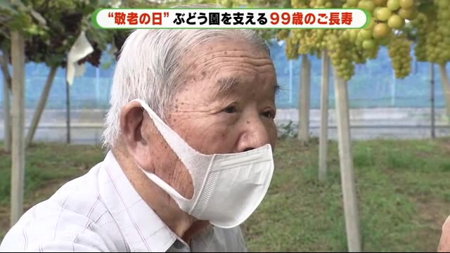 「前向きな気持ち必要」ぶどうを育てて28年・99歳の大塚さん 静岡市