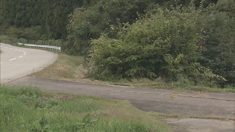 12日に栗拾い中の男性襲われケガ…岐阜県高山市で13日もクマの目撃情報 4月から9月末までに計254件｜FNNプライムオンライン