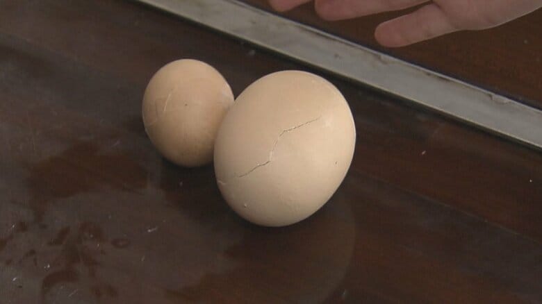 卵の中から卵が…20万個に1個の「二重卵」　専門家「なぜか生まれずに逆に戻った」【福岡発】