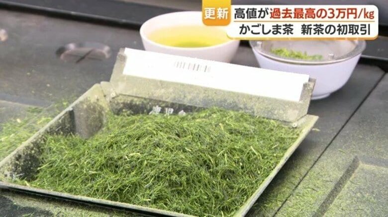 新茶・かごしま茶が快進撃、初取引で過去最高値　抹茶新施設で世界展開へ｜FNNプライムオンライン