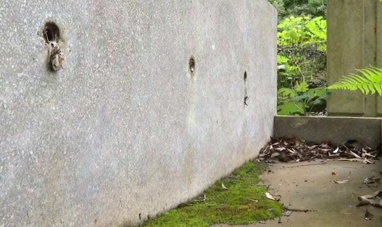 【独自】水道の蛇口がなくなる…熊本豪雨の被災地で“廃校荒らし”　町民「思い踏みにじり怒り感じる」元診療所の建物でも同様被害｜FNNプライムオンライン