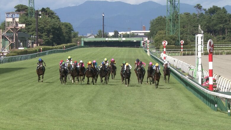 【関屋記念＆東海S・GⅢ】 戦いの舞台は新潟・中京・札幌へ　今年も暑熱対策期間スタート アツい真夏のW重賞｜FNNプライムオンライン