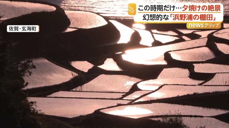 この時期だけ！圧巻の絶景　棚田が夕日に染まる「浜野浦の棚田」　早朝2時間が一番美しい「逆さ那岐連峰」　佐賀・岡山｜FNNプライムオンライン