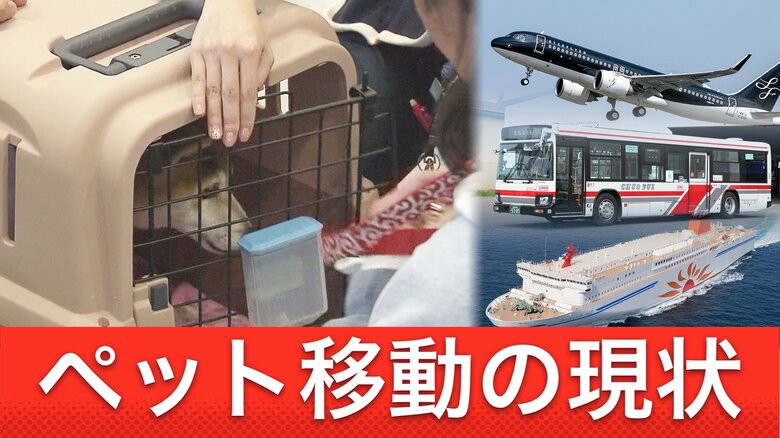 羽田の事故でペット2匹犠牲に…動物が「荷物」と同じ扱いに賛否両論 ペット同伴OKの航空会社も 地方の公共交通機関の場合はどうなの？｜FNNプライムオンライン