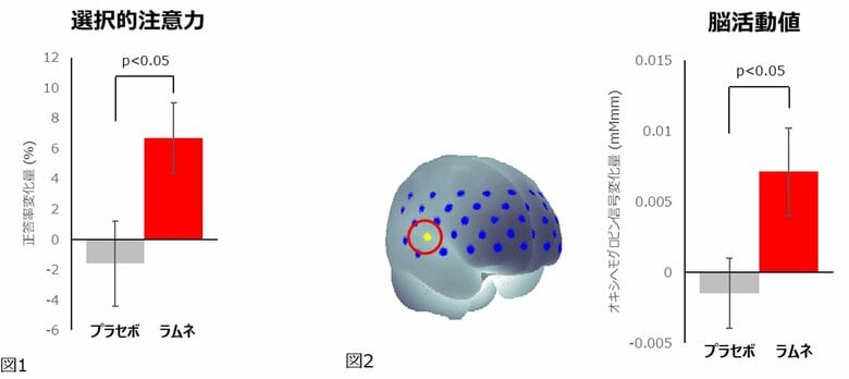 ぶどう糖含有ラムネ菓子摂取後の認知テストにおいて選択的注意力の向上と一部の脳活動値の上昇が確認され、その際に集中している可能性が示唆されました。