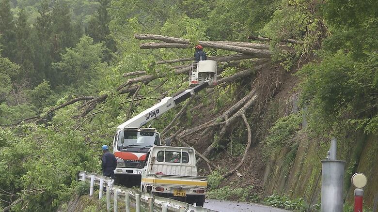 「だめ、危ない」土砂が崩落…観光地に通じる道路が通行止め　ミズバショウの名所は当面、休園に｜FNNプライムオンライン