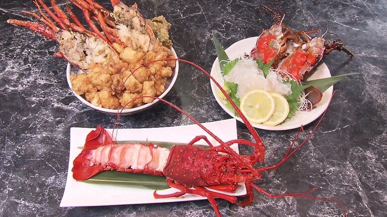 プルプル食感「じゅんさい」や 「伊勢エビ」を余すことなく…福島で夏の味覚を堪能｜FNNプライムオンライン