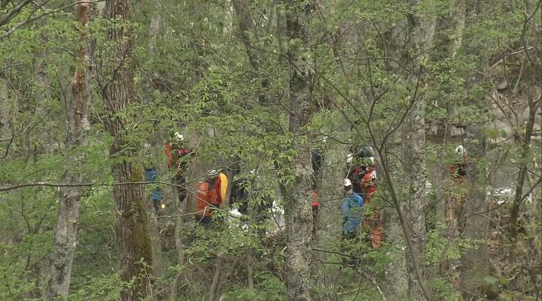 【速報】川に流されたか　山菜採りで男性2人死亡　行方不明の群馬県の80歳と76歳と判明　1人が川に流されそうに…1人が助けに　川の中と岸で発見｜FNNプライムオンライン