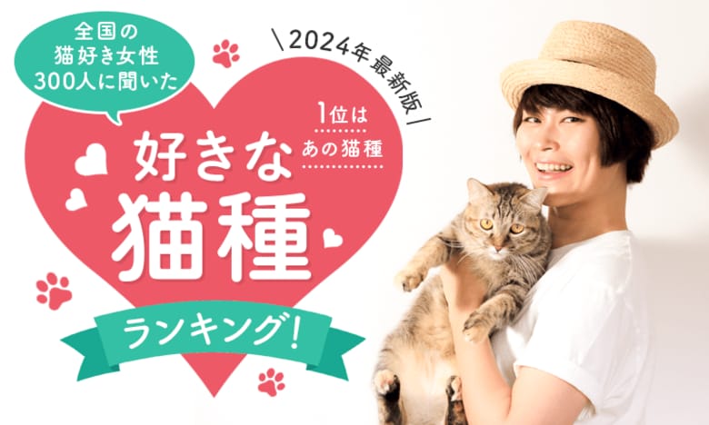 【2024年最新版:全国の猫好き女性300人に聞いた】好きな猫種ランキング!1位はあの猫種
