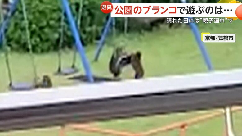 早く代わってと、まるで人間のようなそぶりを見せるサル⑦