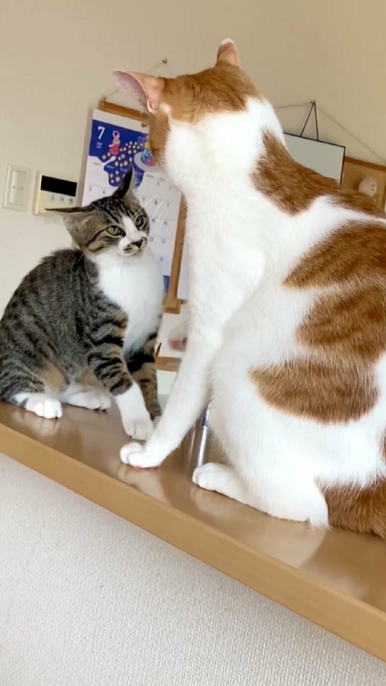 どこか不満げな大三くん
