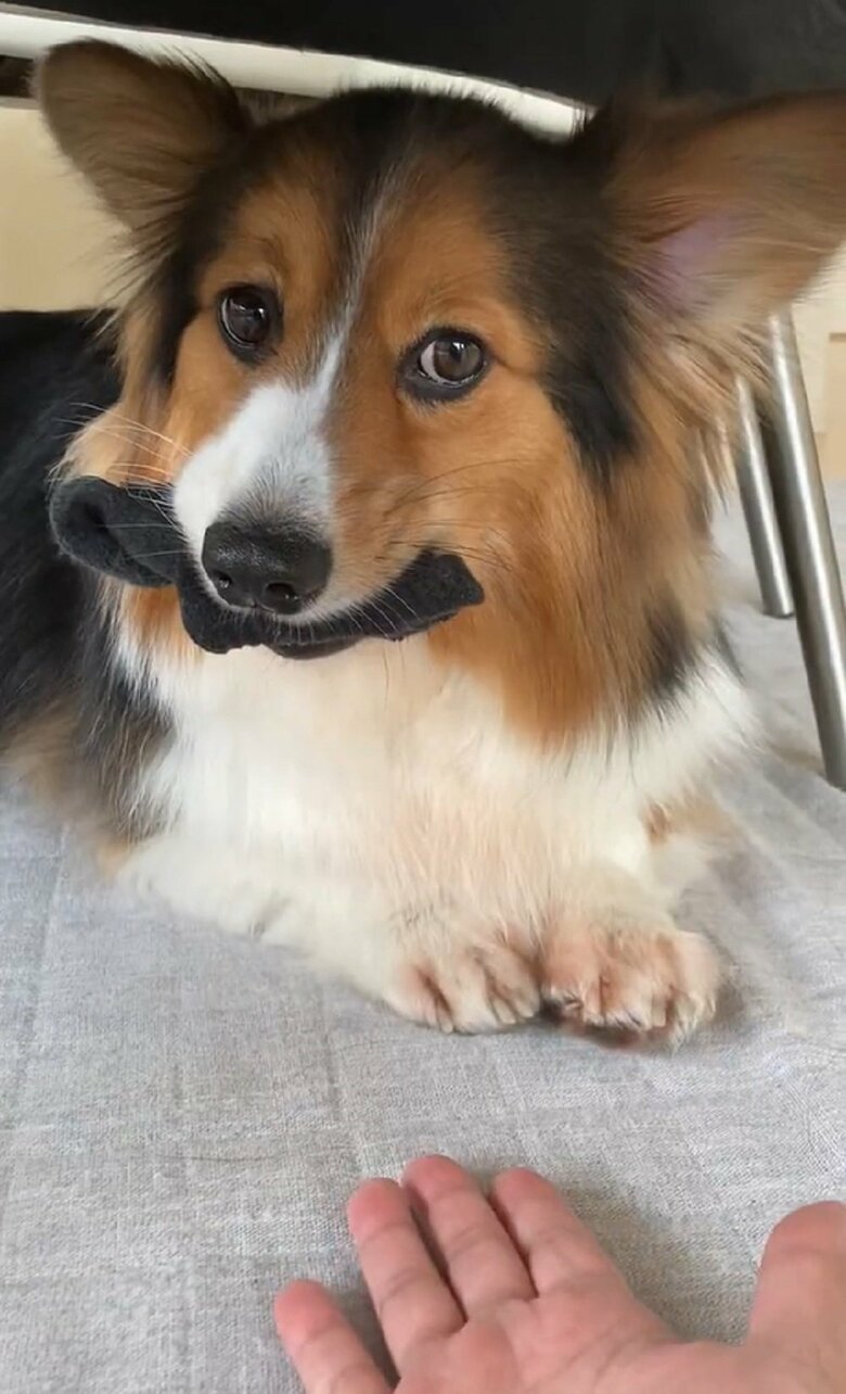 靴下泥棒　葛藤中