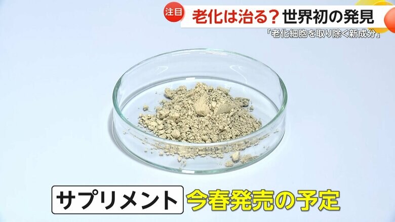 サプリメントを今春発売予定