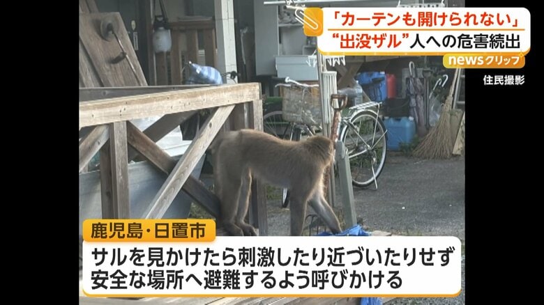 サルを見かけた際は刺激したり近づいたりせず、安全な場所へ避難するよう呼び掛けている日置市