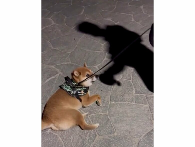 提供：カンさん