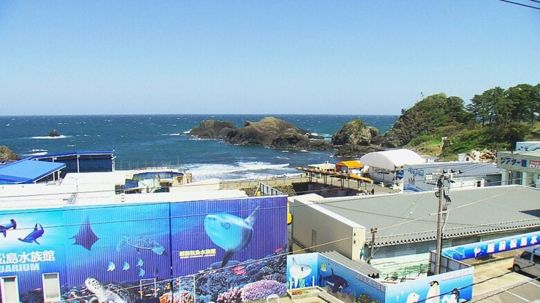 大島の手前にあるのが越前松島水族館