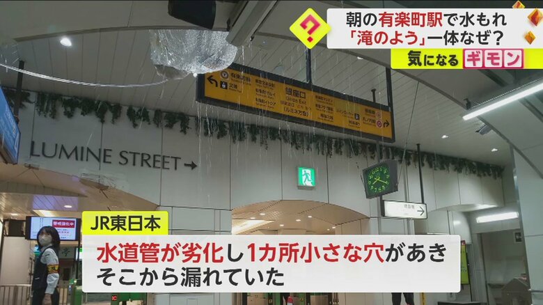 （撮影：キキ）