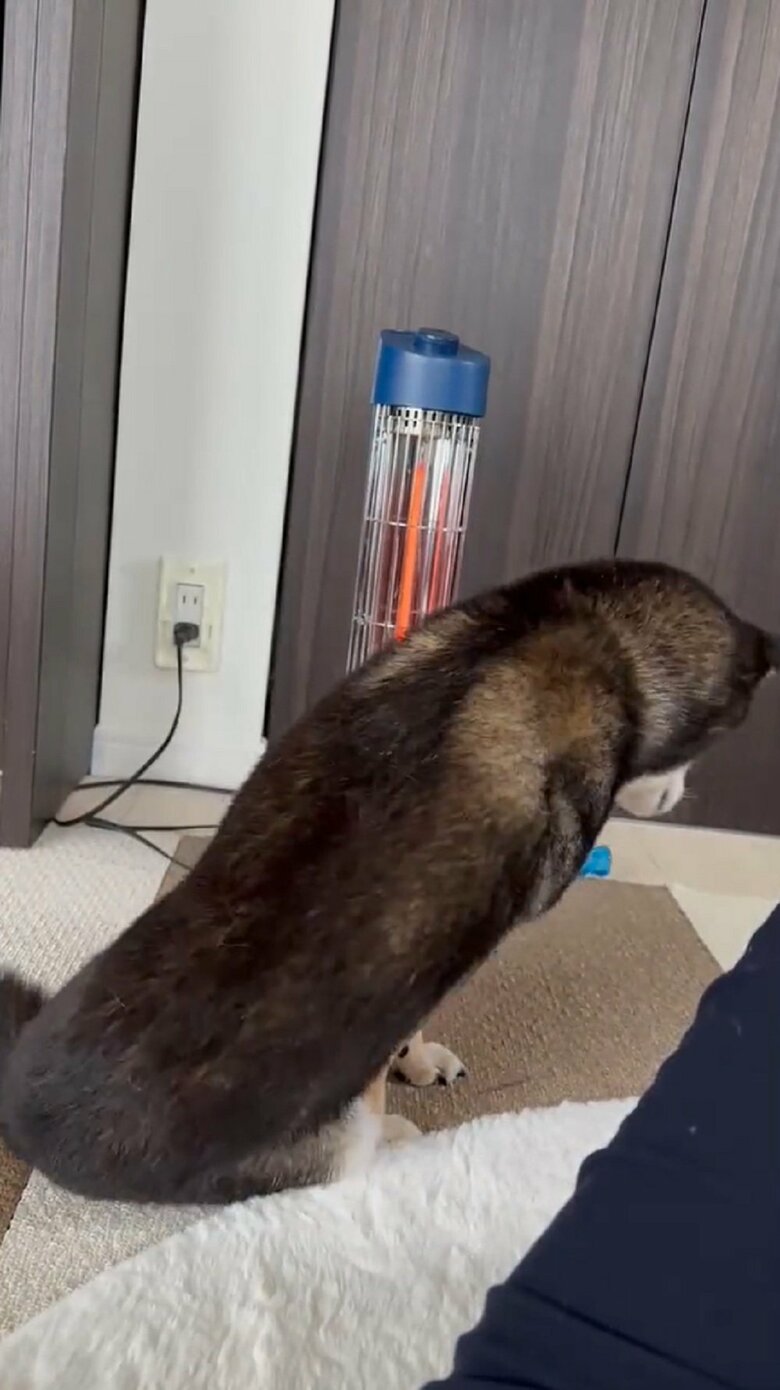 ドスンとお尻を落ち着ける