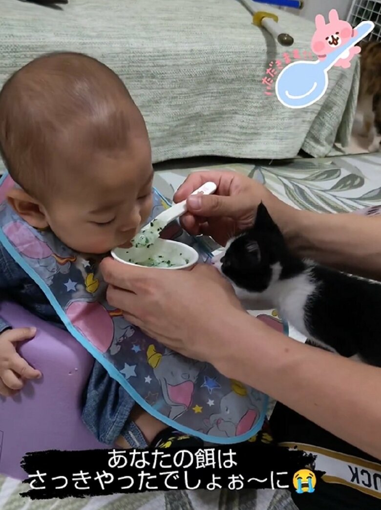 蓮慈くんのご飯がおいしそうに見えている凪くん