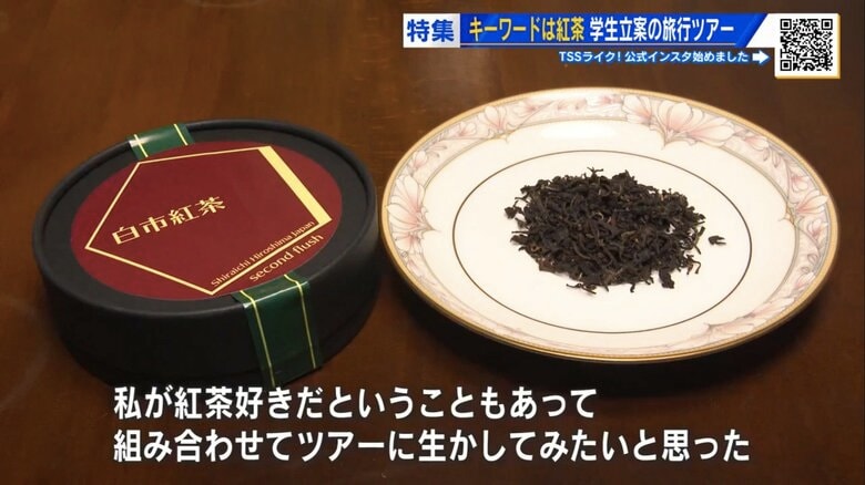 化学肥料を使わず、たい肥で育てる「白市紅茶」