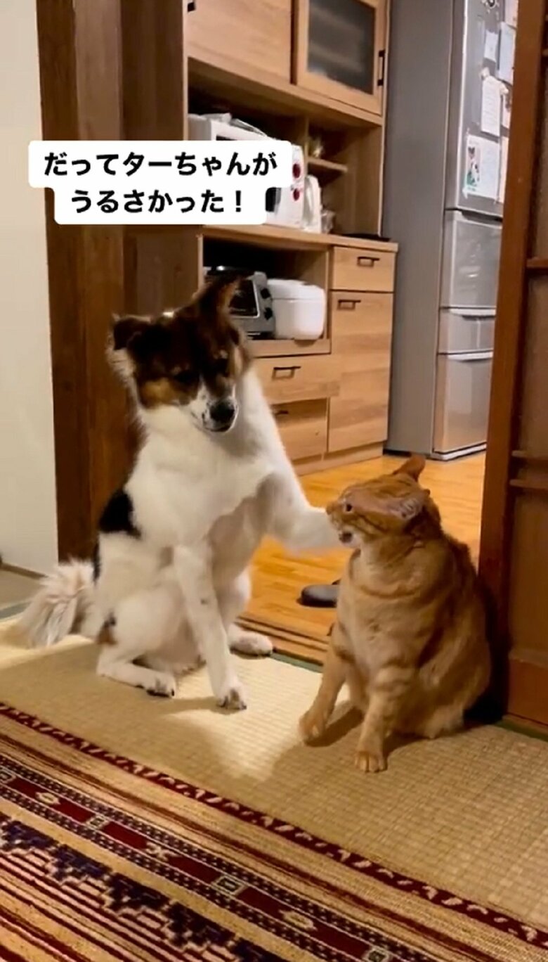 軽いパンチをしながら責任を押しつけ合う