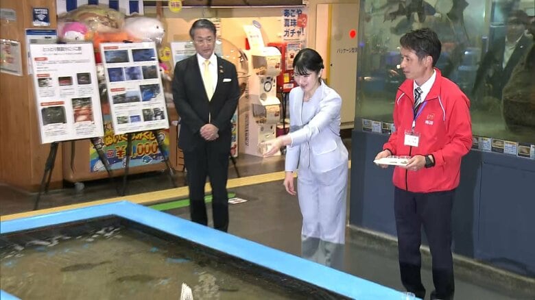「とっとり加露かにっこ館」では、ヒラメの餌やりを体験された