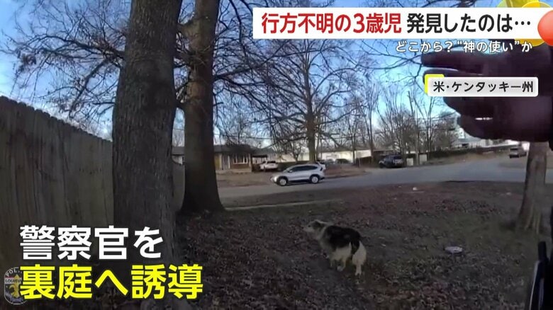 （Louisville Metro Police Department）