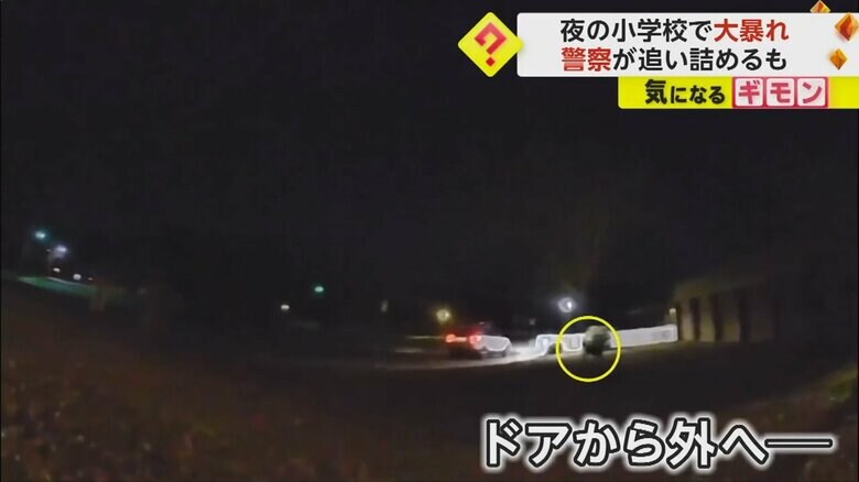 ドアから外へ出ると、そのまま走って暗闇へ消えたシカ