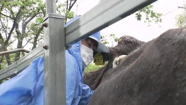 福島県中央家畜保健衛生所の高山湧太さん