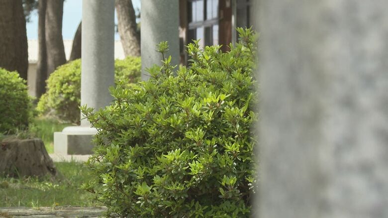 “場所”に注目