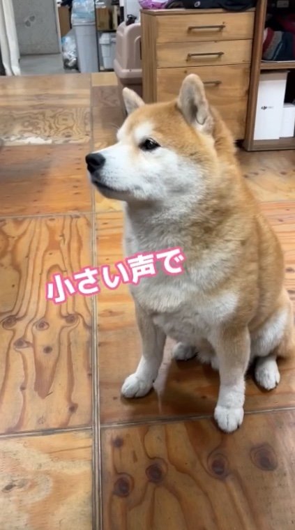 提供：エイトデザイン