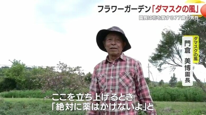 門倉さんの独特な園芸哲学が、多様な生態系を育む美しい花畑を生み出している