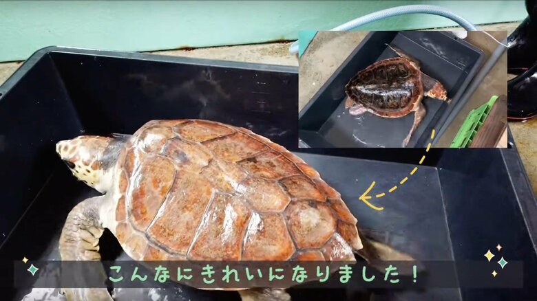 みがく前と後ではこんなに違う