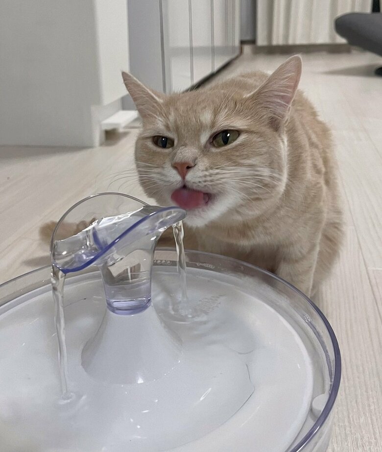 水分補給