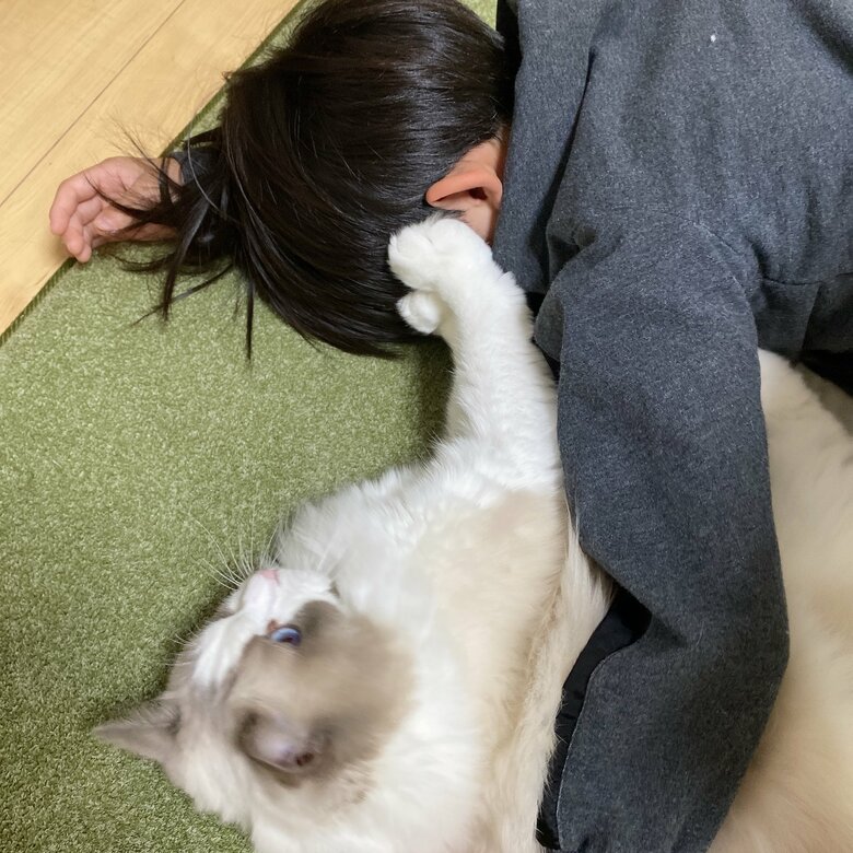 猫吸いを拒否することも